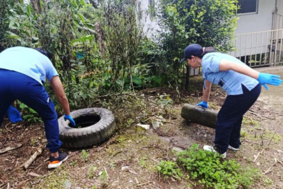 Se realizan mingas comunitarias para la destrucción de criaderos de el dengue, zika y chikunguya
