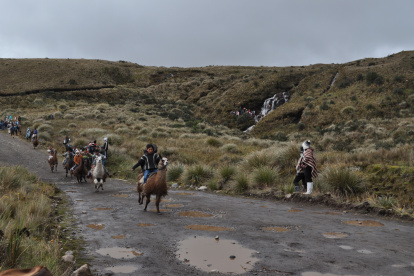 La “Llamingada” o carrera de llamingos es el evento central de la celebración por el día de los humedales.