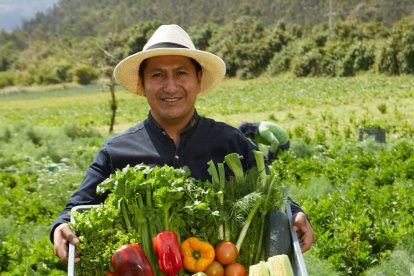 Productores: Corporación Favorita buscar generar un mercado directo entre productores.