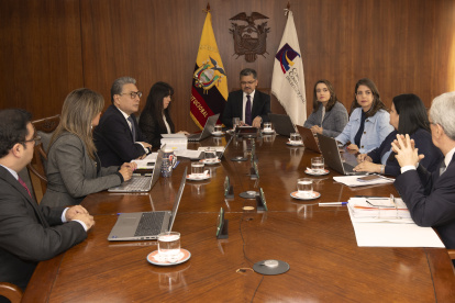 El Pleno de la Corte Constitucional resolvió sobre el decreto el 23 de enero pasado.
