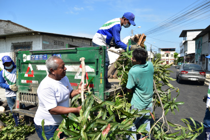 Además de restos plasticos y comida, también se encontró restos de arboles o palmeras en las aceras.