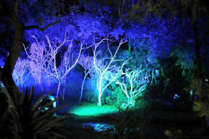 El Bosque de Luz es una instalación artística inmersiva con 17 estaciones de luces