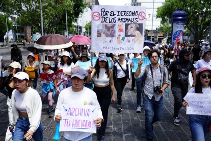 Pronunciamiento. Animalistas realizaron una marcha el sábado para exigir que se archive el proyecto de ley.