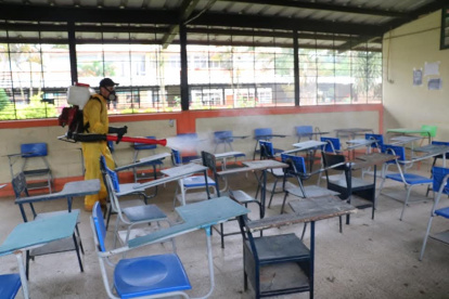 Desde el Ministerio de Salud se realiza campañas de fumigación.