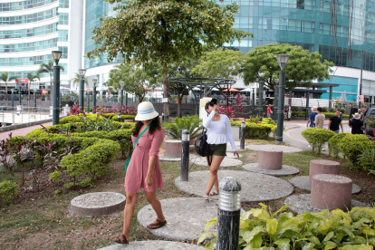 Miedos. Los visitantes temen que los escrementos caigan sobre ellos. Algunos hasta utilizan sombreros por precaución.