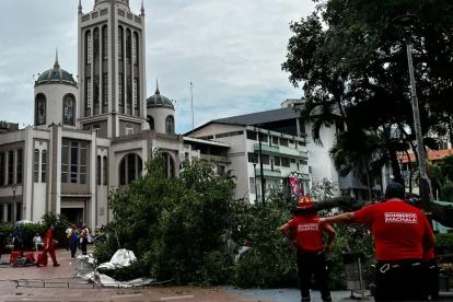 Un árbol se cayó en el parque Juan Montalvo, en el centro de Machala.
