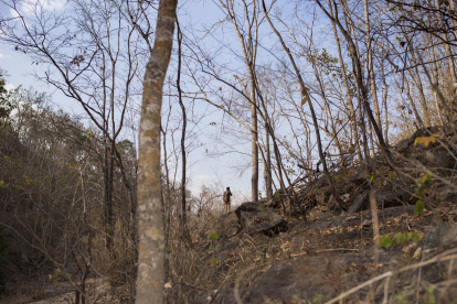 la minería ilegal y la contaminación por plásticos afectan la calidad del agua, poniendo en riesgo la salud de comunidades enteras.