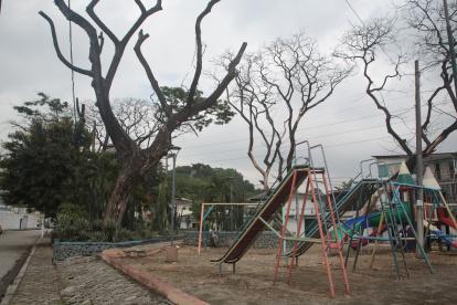 Los árboles muertos son una amenaza para los transeúntes.