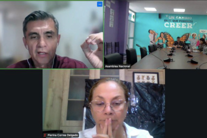 Pierina Correa preside la Comisión de Protección a Niños y Adolescentes, de la Asamblea.