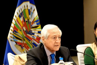 El jefe de la misión de observación electoral de la OEA, Heraldo Muñoz.