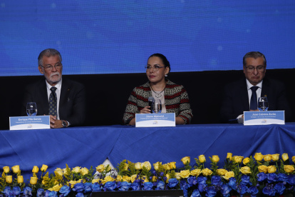 Diana Atamaint en rueda de prensa del CNE.