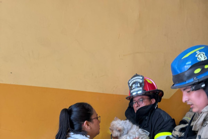 El gato fue puesto en buen recaudo.