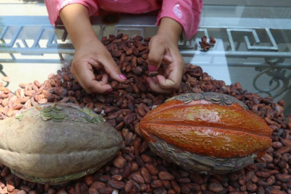 El precio del cacao ecuatoriano se calcula tomando como base el valor de la tonelada con entrega futura en diciembre en la bolsa de Nueva York.