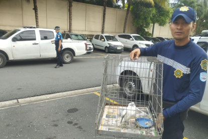 El rescate se dio a conocer este miércoles 12 de febrero.