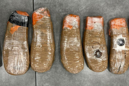 La cocaína estaba camuflada.