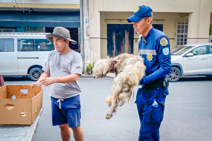 En este caso acudieron agentes de Segura EP.