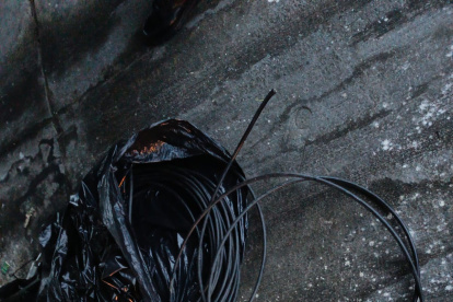 Hecho. El hallazgo se dio tras un control.