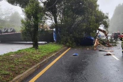 El tráiler se volcó sobre la acera, llevándose los árboles del parterre.