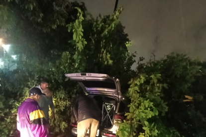 Árbol cayó sobre auto.