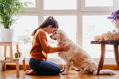 Adoptar puede ser amor a primera vista.