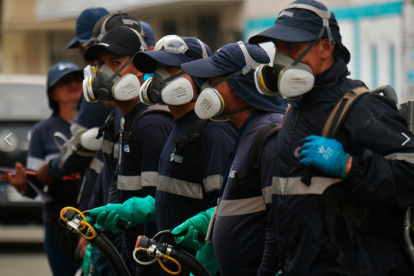 Personal municipal realizó jornada de fumigación en Sauces 7