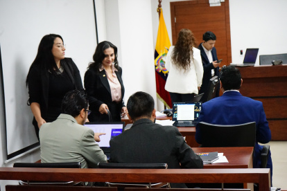 La abogada de Verónica Abad dijo que solicitó a la Asamblea el seguimiento al pedido de fiscalizar a seis ministros de Noboa.