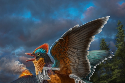 Reconstrucción de la vida del ave jurásica Baminornis zhenghensis de la fauna de Zhenghe. Fotografía facilitada por Zhao Chuang. EFE