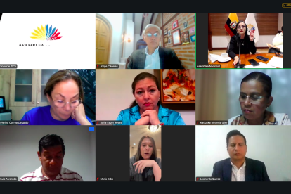 El Pleno sesionó de forma virtual la tarde del 15 de febrero de 2025.