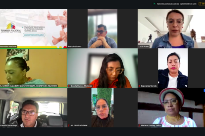 La Comisión de Participación Ciudadana sesionó este 16 de febrero de 2025.