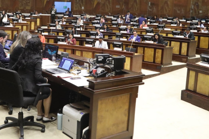 El Pleno decidirá si aprueba o no en segundo debate el informe del proyecto de Ley para las mujeres emprendedoras de Noboa.