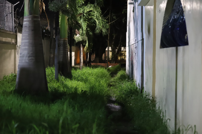 Escena. A lo largo de avenidas como Víctor Emilio Estrada y Costanera, las peatonales presentan luminarias descompuestas, maleza y desechos, lo que genera miedo entre los vecinos.