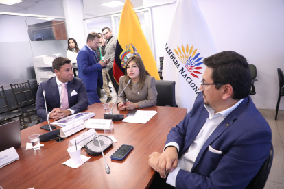 El director del CIES, Michele Sensi Contugi, compareció ante la Comisión de Seguridad, presidida por la oficialista Inés Alarcón.