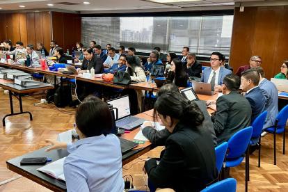 Fabiola Gallardo y Johan Marfetán cuestionaron el testimonio anticipado de Mayra Salazar.