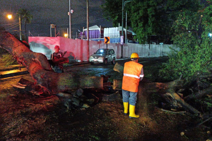 Personal de la Empresa Pública de Parques ejecutó tareas para retirar el árbol de la vía, la noche del martes 18 de febrero.