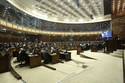 El Pleno de la Asamblea trató la ley del Ejecutivo este 19 de febrero de 2025.