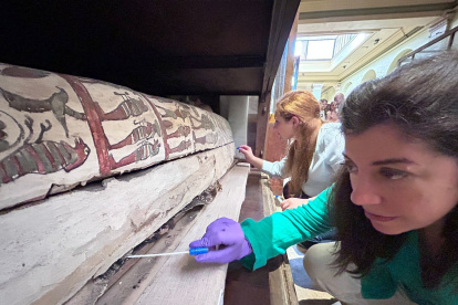 Emma Paolin, investigadora de la Universidad de Liubliana (en la parte trasera) y Cecilia Bembibre, profesora del University College London (en la parte delantera) tomando muestras de hisopos con fines de análisis microbiológico en la Universidad de Economía de Cracovia. CRÉDITO