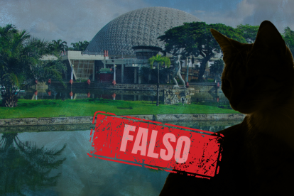 Municipio descarta veracidad de gatos muertos en el Parque Forestal.