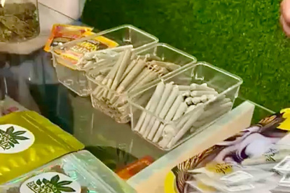 Autoridades incautan productos en un local de Sangolquí tras pruebas positivas de cannabis.