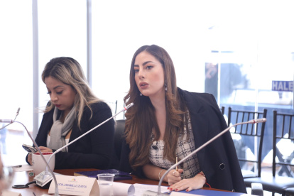 Lucía Jaramillo fue electa por ADN en los pasados comicios del 9 de febrero.