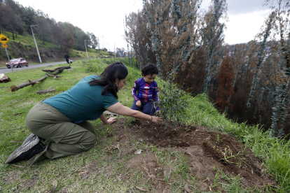 Voluntarios. Daniela Altamirano y su hijo participaron en las jornadas de reforestación.