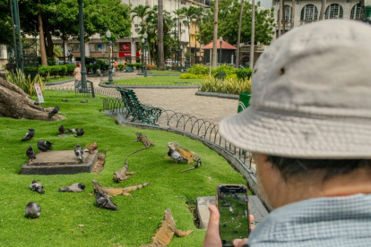 El Iva se reduce por el feriado de carnaval.