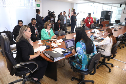 La asambleísta Lucía Posso preside la comisión ocasional creada por la reforma.
