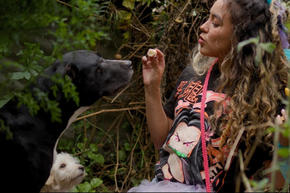 La serie se estrenó recientemente en la Cinemateca Nacional Ulises Estrella, de la capital.