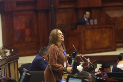 La asambleísta Pierina Correa resumió el informe sobre el caso Malvinas.