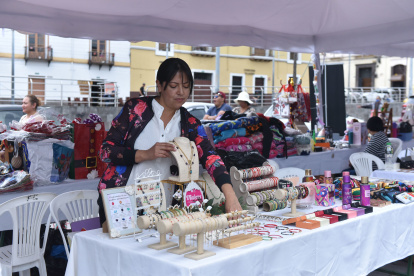La Ley para Mujeres Emprendedoras propone alivios y borrar historial crediticio.