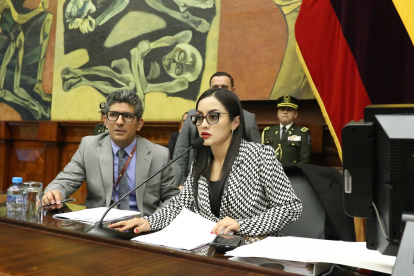 La presidenta de la Asamblea Viviana Veloz suspendió el tratamiento del punto.