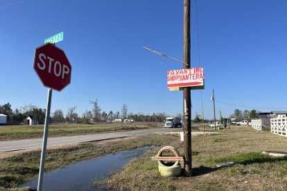 una carretera vacía en la localidad de Colony Ridge, al noreste de Houston, Texas (EE.UU.).