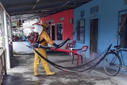 Como medidas preventivas realizan fumigaciones en las viviendas del sector subtropical.