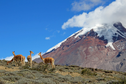 El Ministerio del Ambiente, Agua y Transición Ecológica emitió una alerta de alto riesgo de avalanchas en el volcán Chimborazo