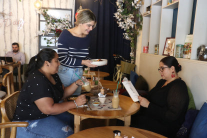 Lobo de Bosque, ubicado en C.C La Torre